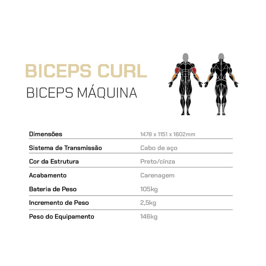 BICEPS CURL / BICEPS MÁQUINA